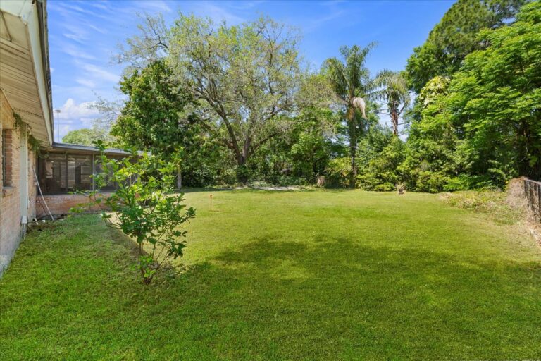 02-Backyard