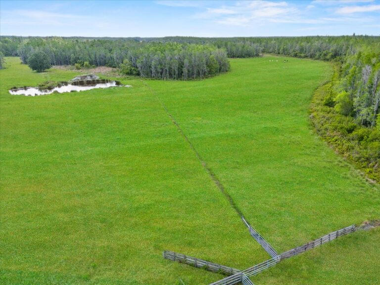 028-SE Pasture