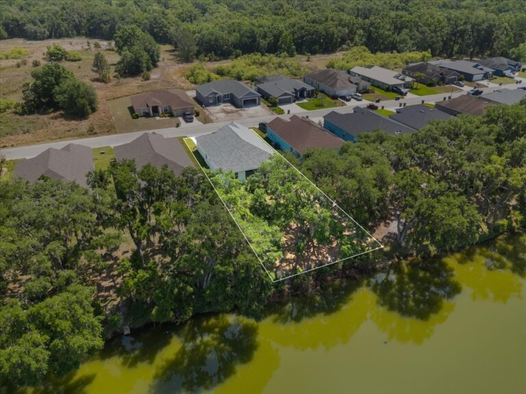 12-Aerial Back Property Line