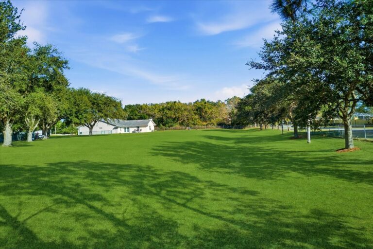 08-Backyard with Grass