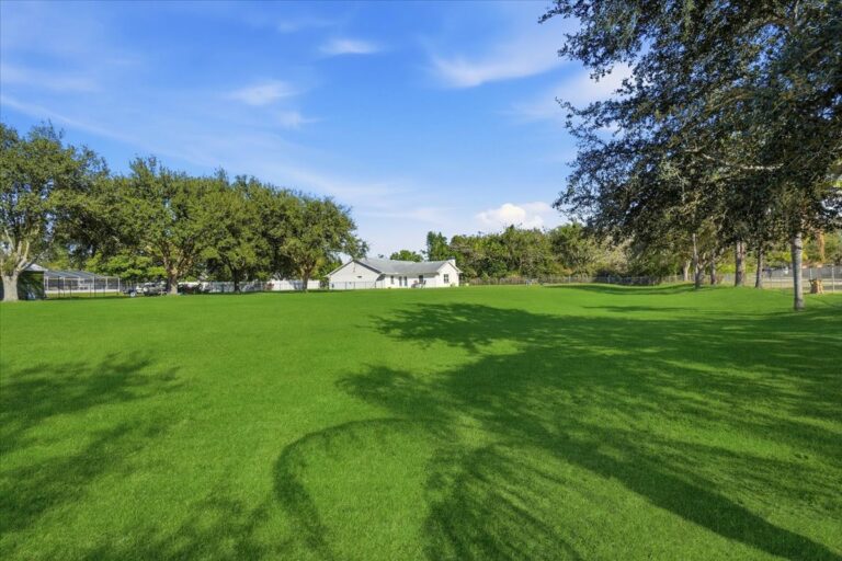 09-Backyard with Grass