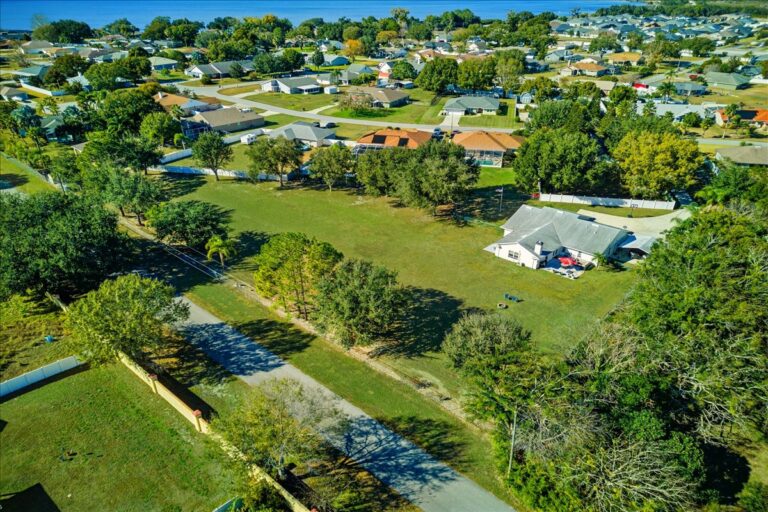 1-Aerial View with Grass